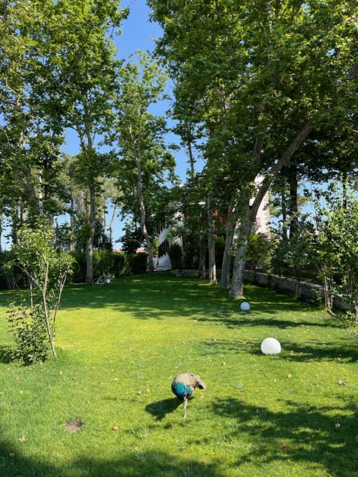 Casa Jardin El Colmenar Hotel Las Navas del Marqués Exterior photo